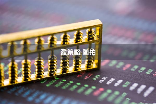 盈策略 随拍