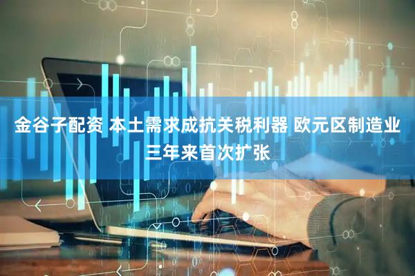 金谷子配资 本土需求成抗关税利器 欧元区制造业三年来首次扩张