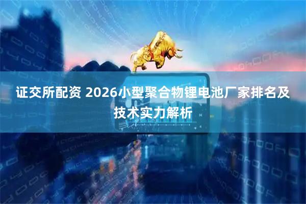 证交所配资 2026小型聚合物锂电池厂家排名及技术实力解析
